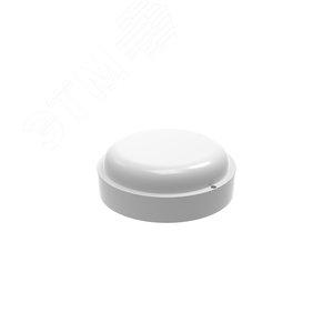 Светильник светодиодный ДБП 15 Вт 1200 лм 6500К AC 220В Белый IP65 круг D155х52мм Пластик ЖКХ Elementary