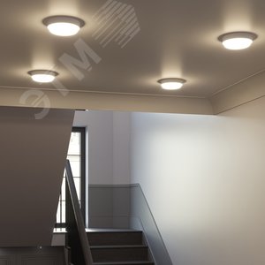 Миниатюра 6