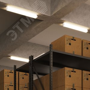 Миниатюра 5