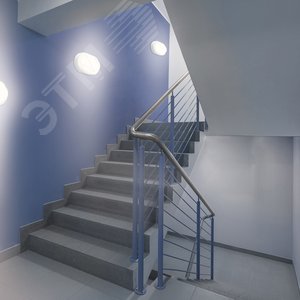 Миниатюра 4