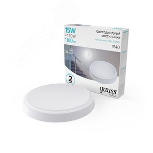 Миниатюра 2