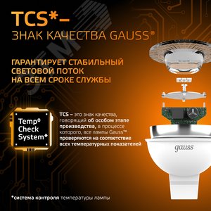 Миниатюра 10