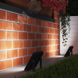 Миниатюра 5