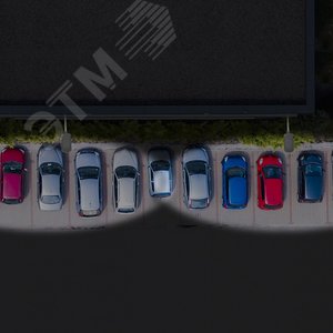 Миниатюра 9