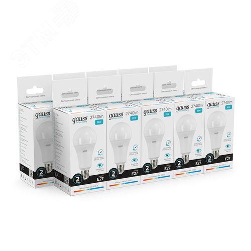 Миниатюра 9