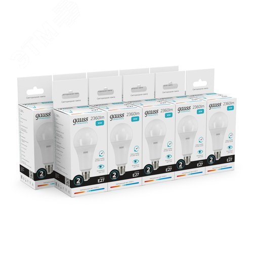 Миниатюра 9