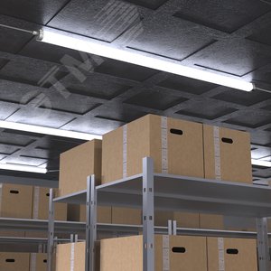 Миниатюра 5