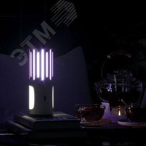 Миниатюра 6