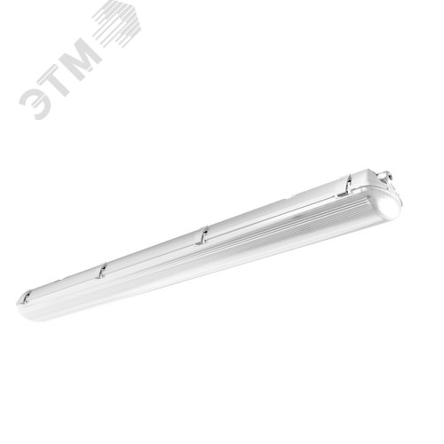 Светильник люминесцентный ЛСП-44-2х36-010 ЭПРА IP65