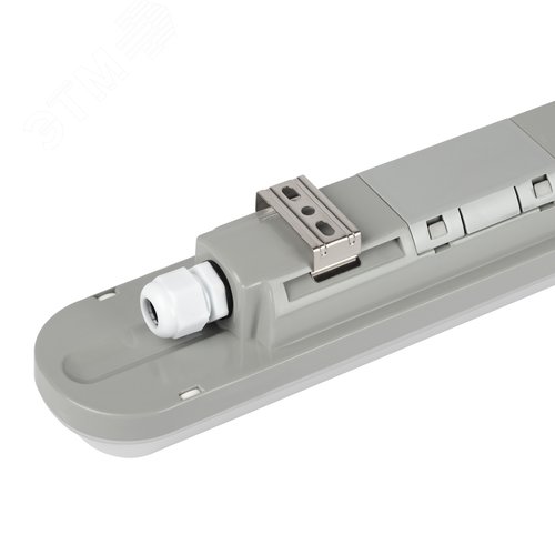 Миниатюра 10