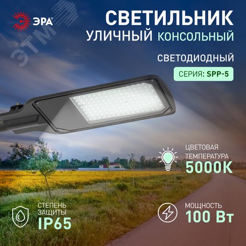 Миниатюра 9