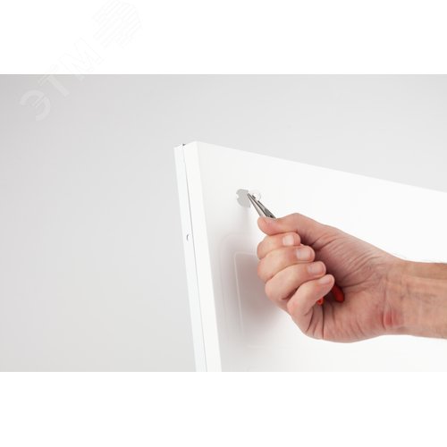 Миниатюра 6