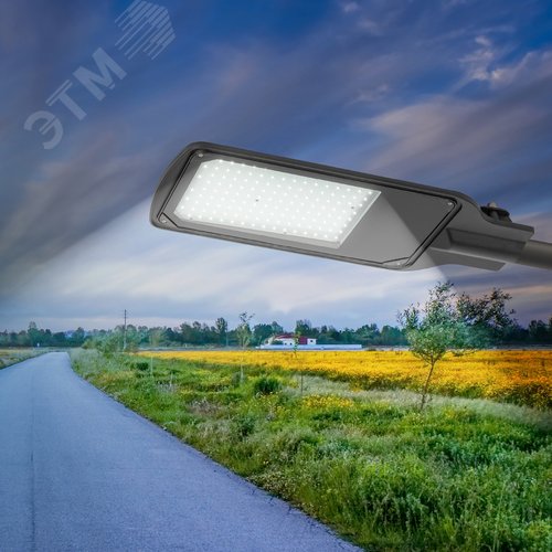 Миниатюра 10