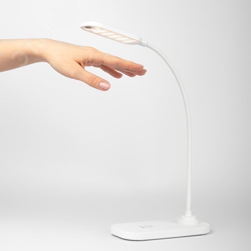 Миниатюра 12