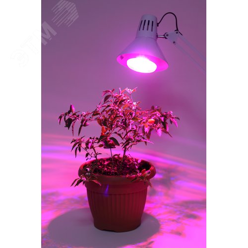 Миниатюра 7