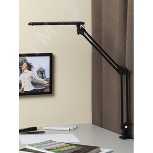 Миниатюра 8