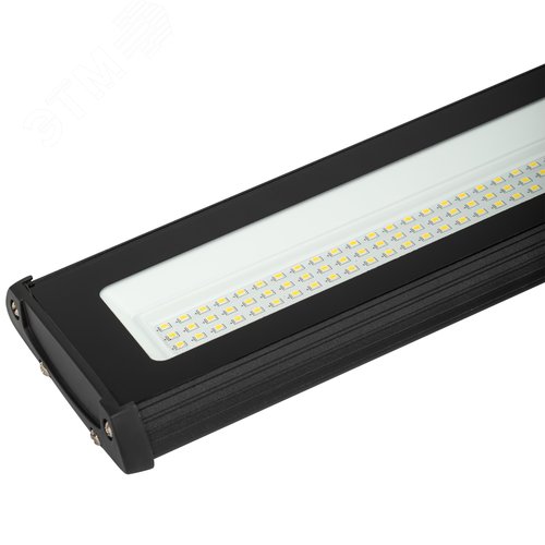 Миниатюра 8