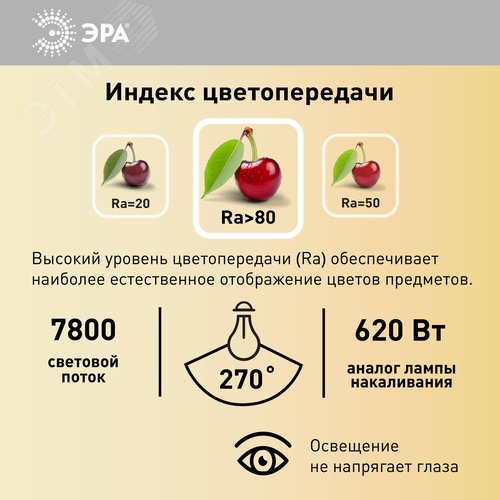 Миниатюра 10