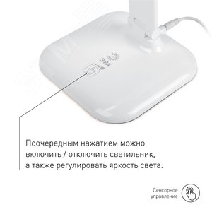 Миниатюра 7