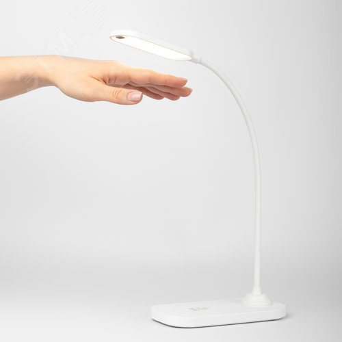 Миниатюра 13