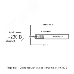 Миниатюра 11