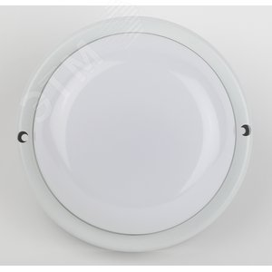 Миниатюра 4