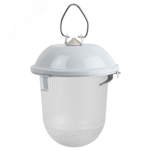 Миниатюра 6