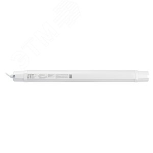 Миниатюра 7