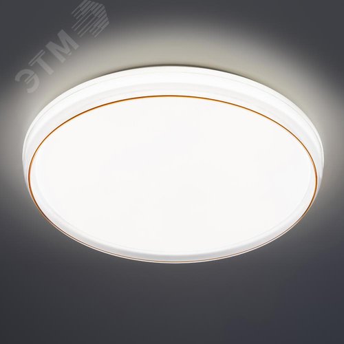 Миниатюра 11