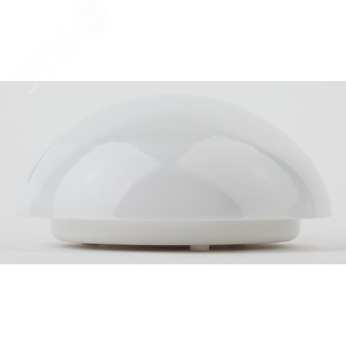 Миниатюра 4