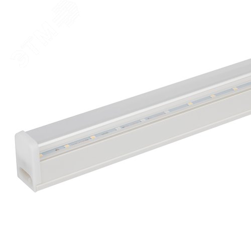 Миниатюра 8