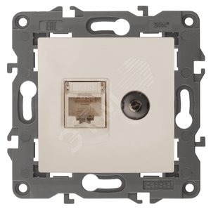 Розетка RJ45+TV, Эра Elegance, сл.кость, 14-3110-02