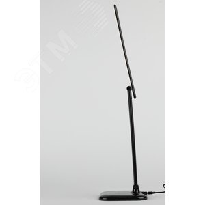 Миниатюра 7