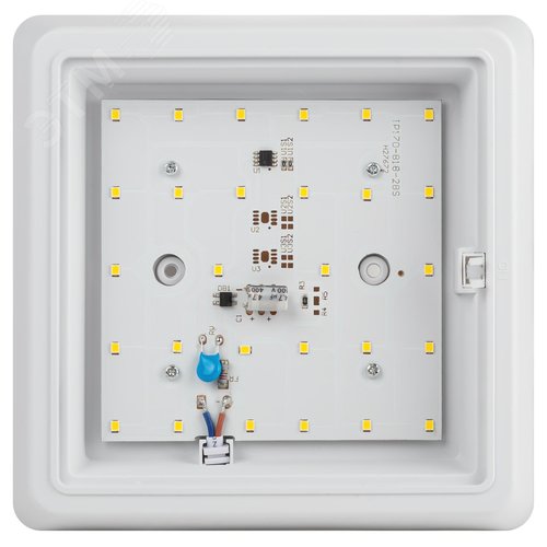 Миниатюра 5
