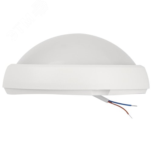 Миниатюра 4