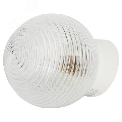 Миниатюра 4