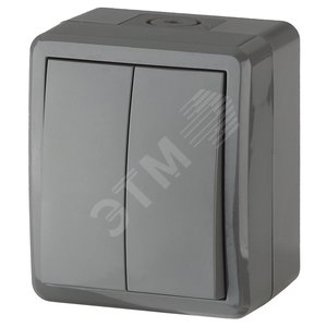 Выключатель двухклавишный наружный (открытой установки) IP54 серый 10А 250В винтовые зажимы ЭРА Эксперт 11-1404-03