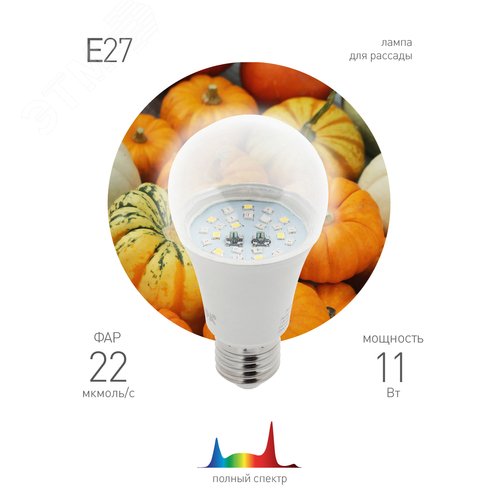 Миниатюра 7