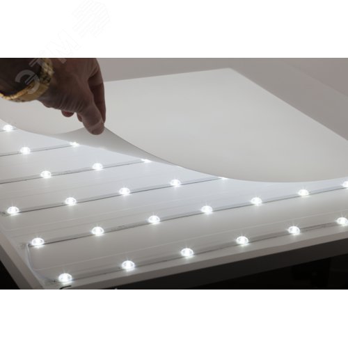 Миниатюра 5