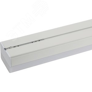 Миниатюра 11