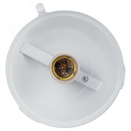 Миниатюра 8