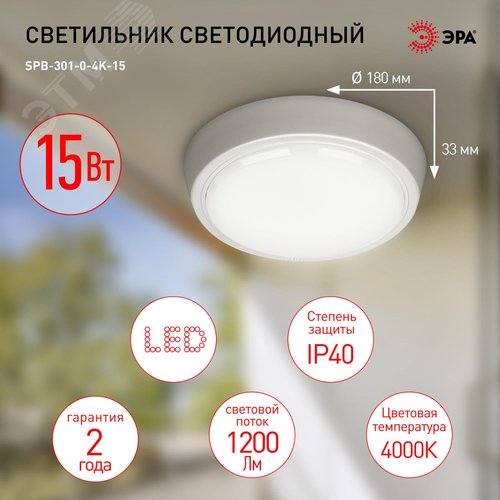 Миниатюра 7