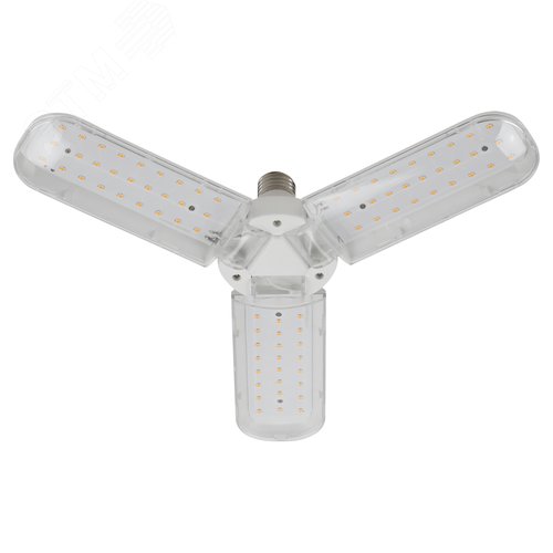 Миниатюра 8