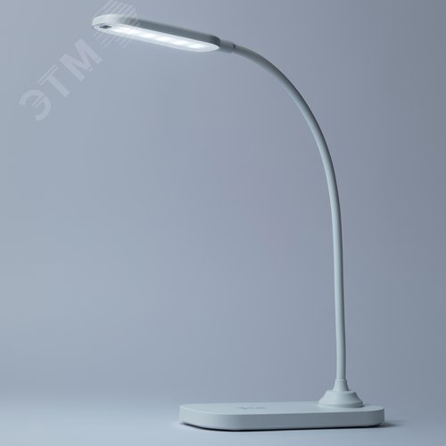 Миниатюра 10