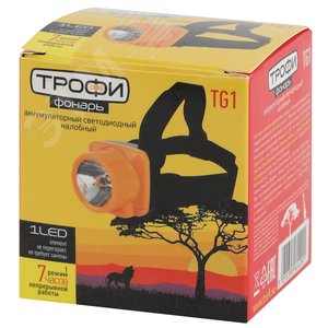 Миниатюра 2