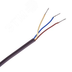 Миниатюра 8