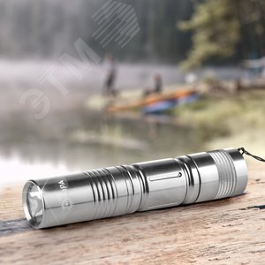Миниатюра 3