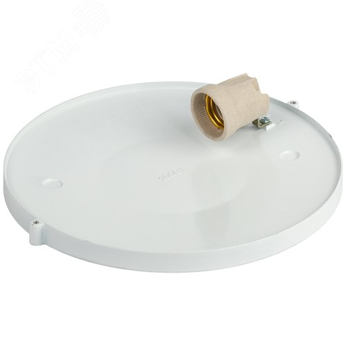 Миниатюра 5