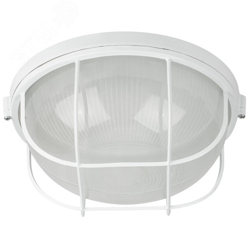 Миниатюра 8