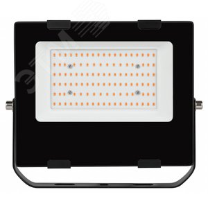 Прожектор красно-синего спектра FITO-50W-RB-LED